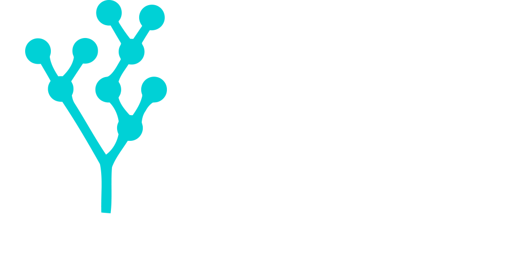 Ideas Capital